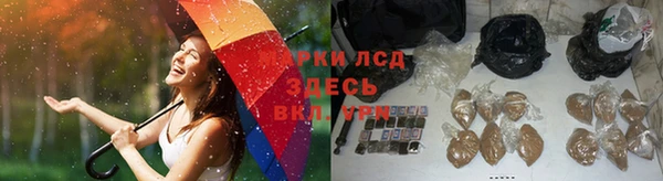 крисы Струнино