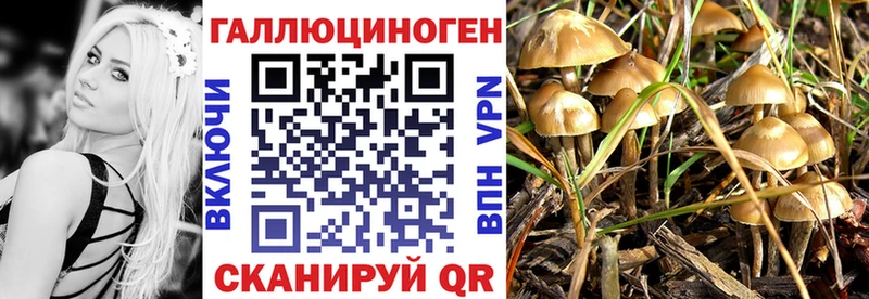Псилоцибиновые грибы прущие грибы цены Великие Луки