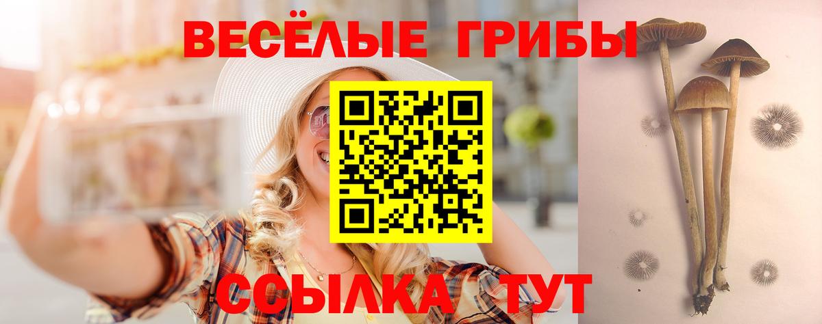 купить закладку  Великие Луки  Псилоцибиновые грибы прущие грибы 