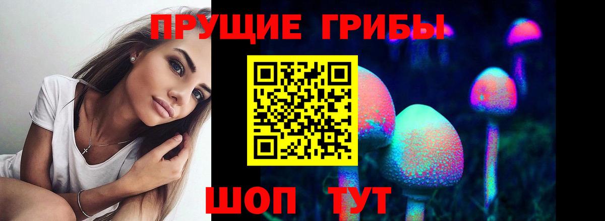 МЕФ Великие Луки